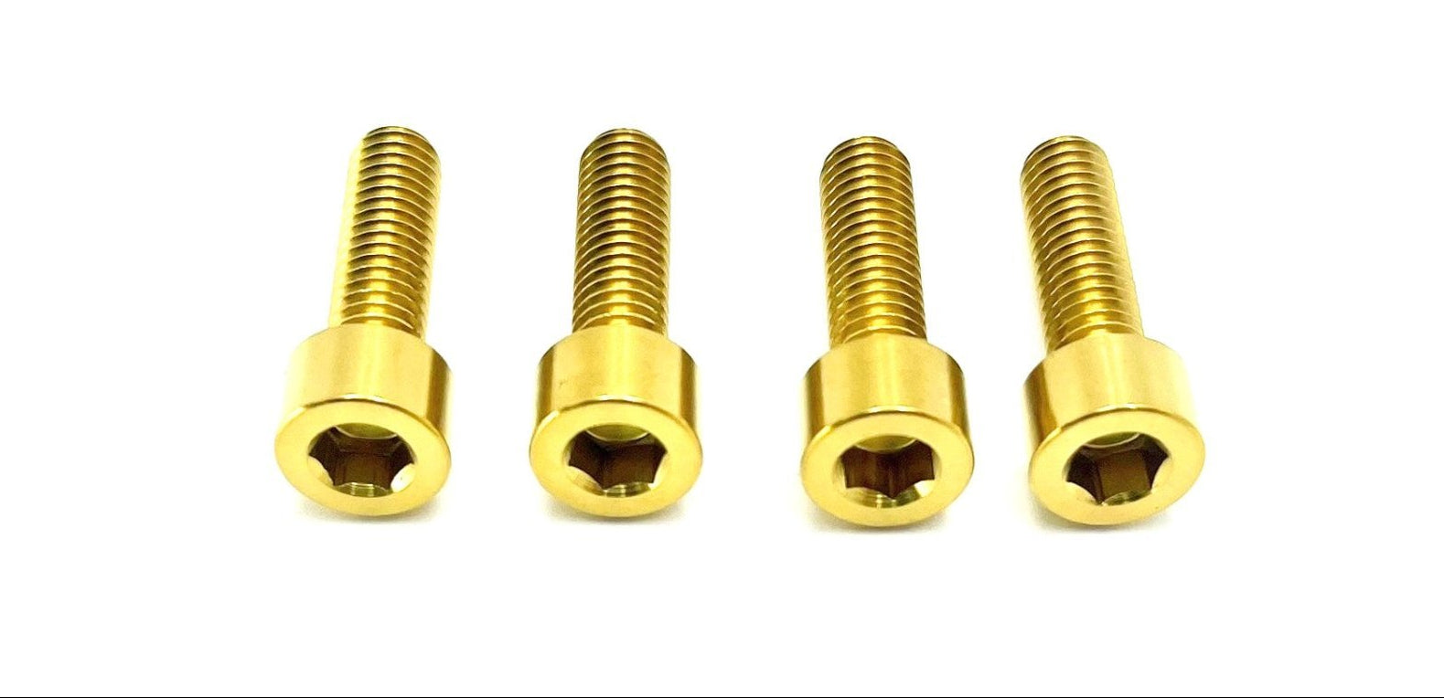 Titanium Axle Pinch Bolts for E-moto Forks