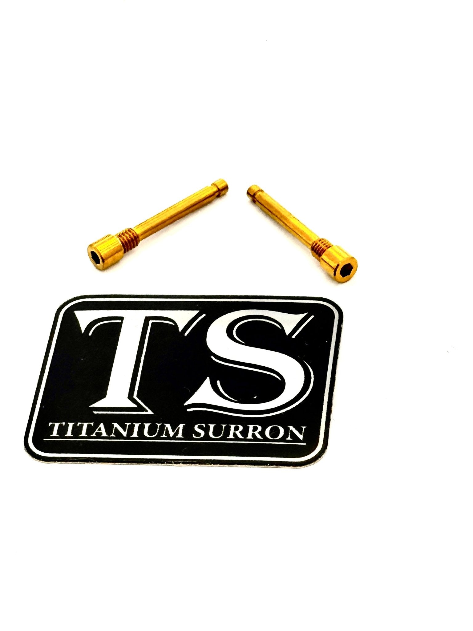 Brake-Pad Screws/ Pins - E-moto (Set of 2)