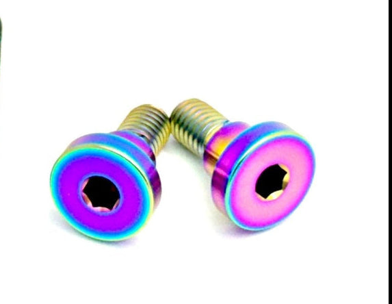 Titanium Battery Lid Bolts - E-Ride Pro -  (Two Pcs)